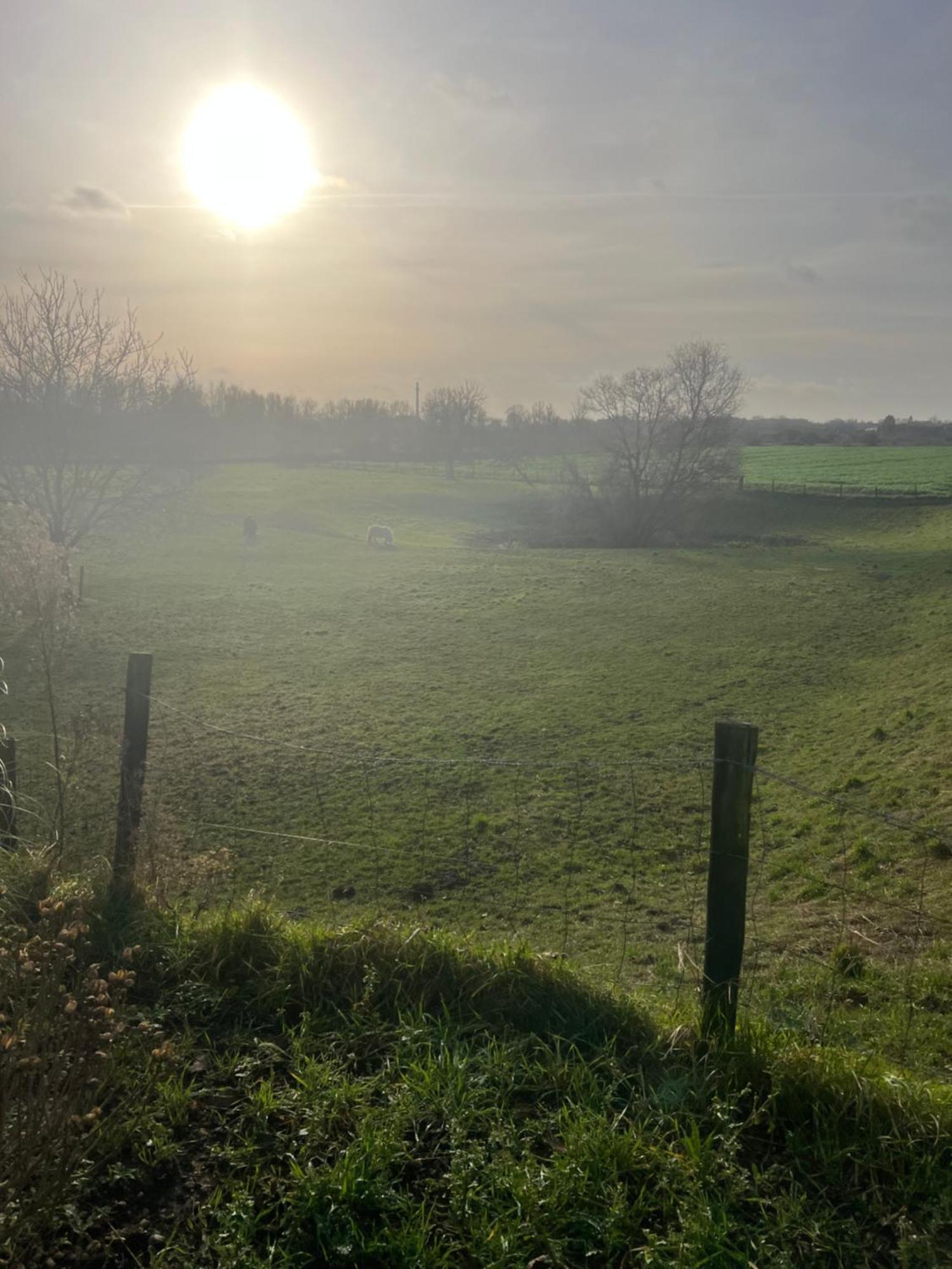 Geniet Van Een Charmante En Rustige Verblijfplaats In Lobith Buitenkant foto